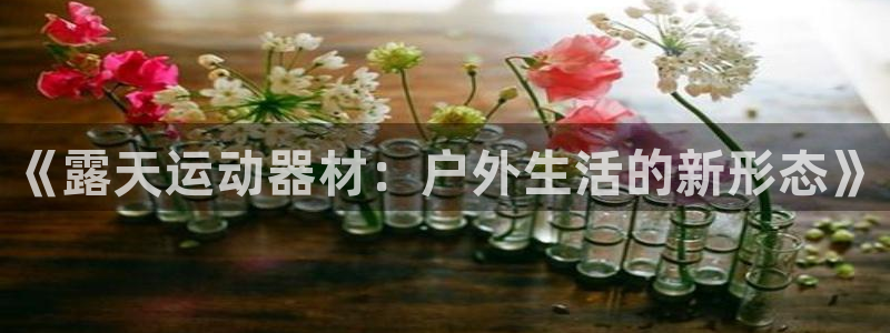 风速体育官网下载招商电话号码:《露天运动器材:户外生活的新形