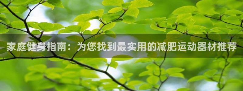 风速体育官方正版app集团官网首页:家庭健身指南:为您找到最